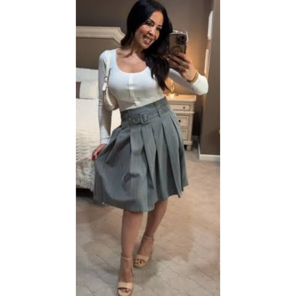 Dalia Collection Grey Pleated Belted A-Line Skirt Size 4 Knee Length Officecore